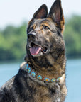 Rainbow Bridge Dog Collar
