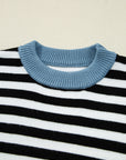 Stripe Colorblock Sleeve Ribbed Trim Sweater