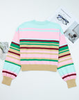 Stripe Ribbed Trim Crewneck Cropped Sweater