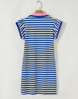 Stripe Contrast Collared V-Neck Dress