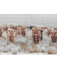 Highland Cows Window Curtain 52"x63" (2-Piece) Made in America