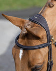 LeMieux Work Bridle