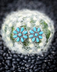 Gianna Turquoise Fashion Studs
