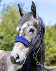 LeMieux Vogue Halter & Leadrope Ink Blue