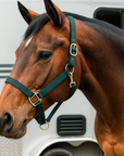 Hunter Green Nylon Horse Halter NHGRN