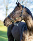 LeMieux Rope Control Halter Black