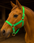 Lime Nylon Horse Halter NHNGN