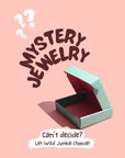Mystery Jewelry Bundle