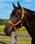 Orange Nylon Horse Halter NHORA