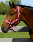 Pink Nylon Horse Halter NHPINK