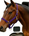 Purple Nylon Horse Halter NHPUR