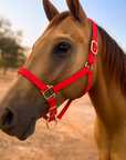 Red Nylon Horse Halter NHRED