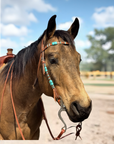 Turquoise Rawhide Light Oil Browband Headstall