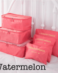 6 Piece Travel Organizer