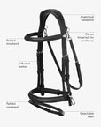 LeMieux Work Bridle