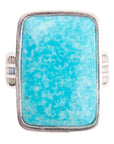 Zion Blue Turquoise and Sterling Silver Ring