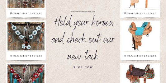 Hold Your Horses, and Check Out Our New Tack