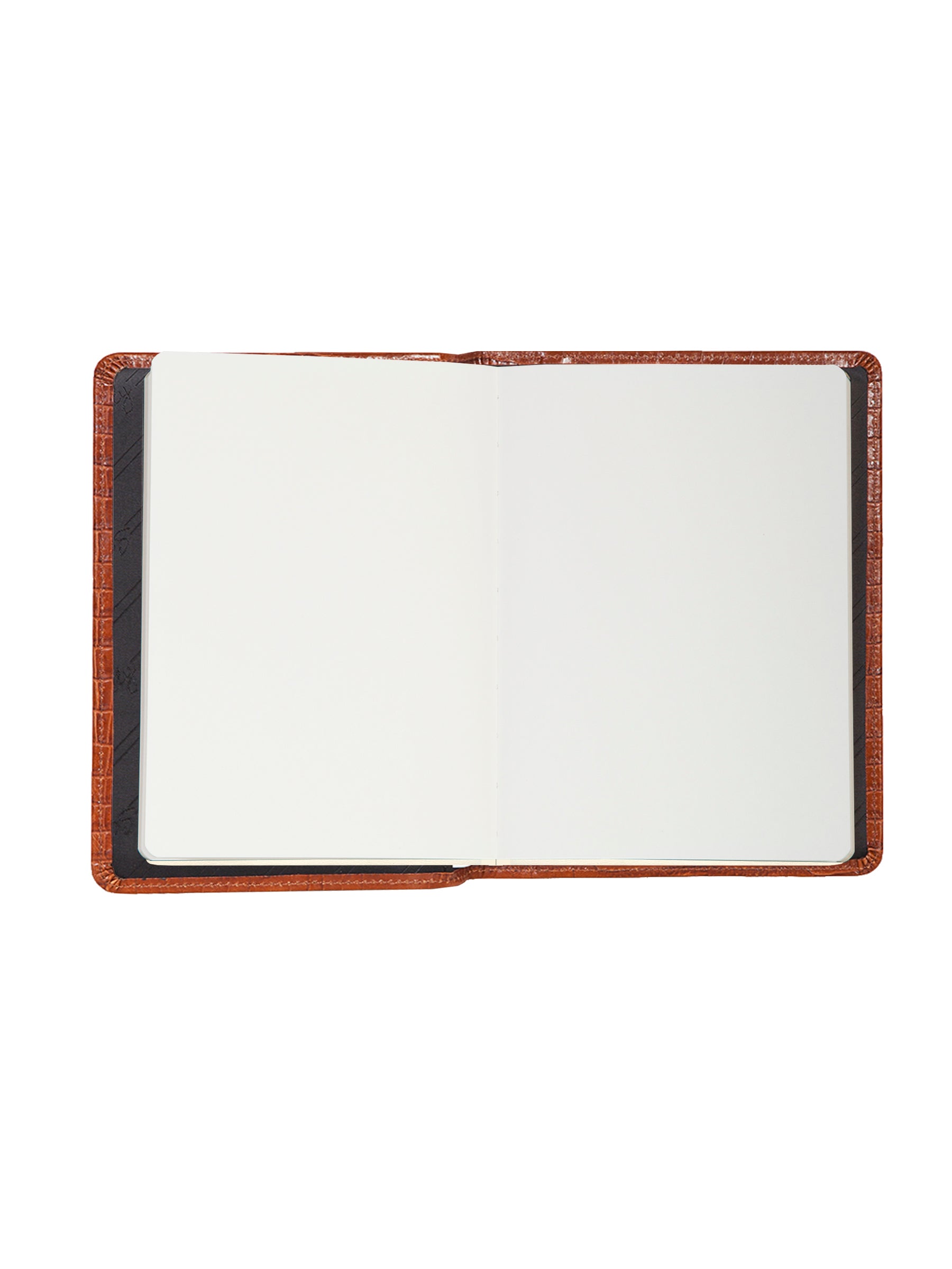 Blank Manuscript - 1046B