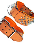 Hilason Western Style Heavy Duty Spiked Leather Pet Dog Collar