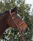 ExionPro Pressure Relief Crown Raised Padded Jumping Bridle with Reins