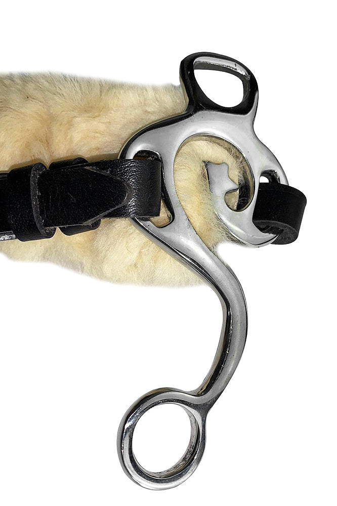 Hilason Western Horse Hackamore Bit In Stainless Steel With Leather Cover