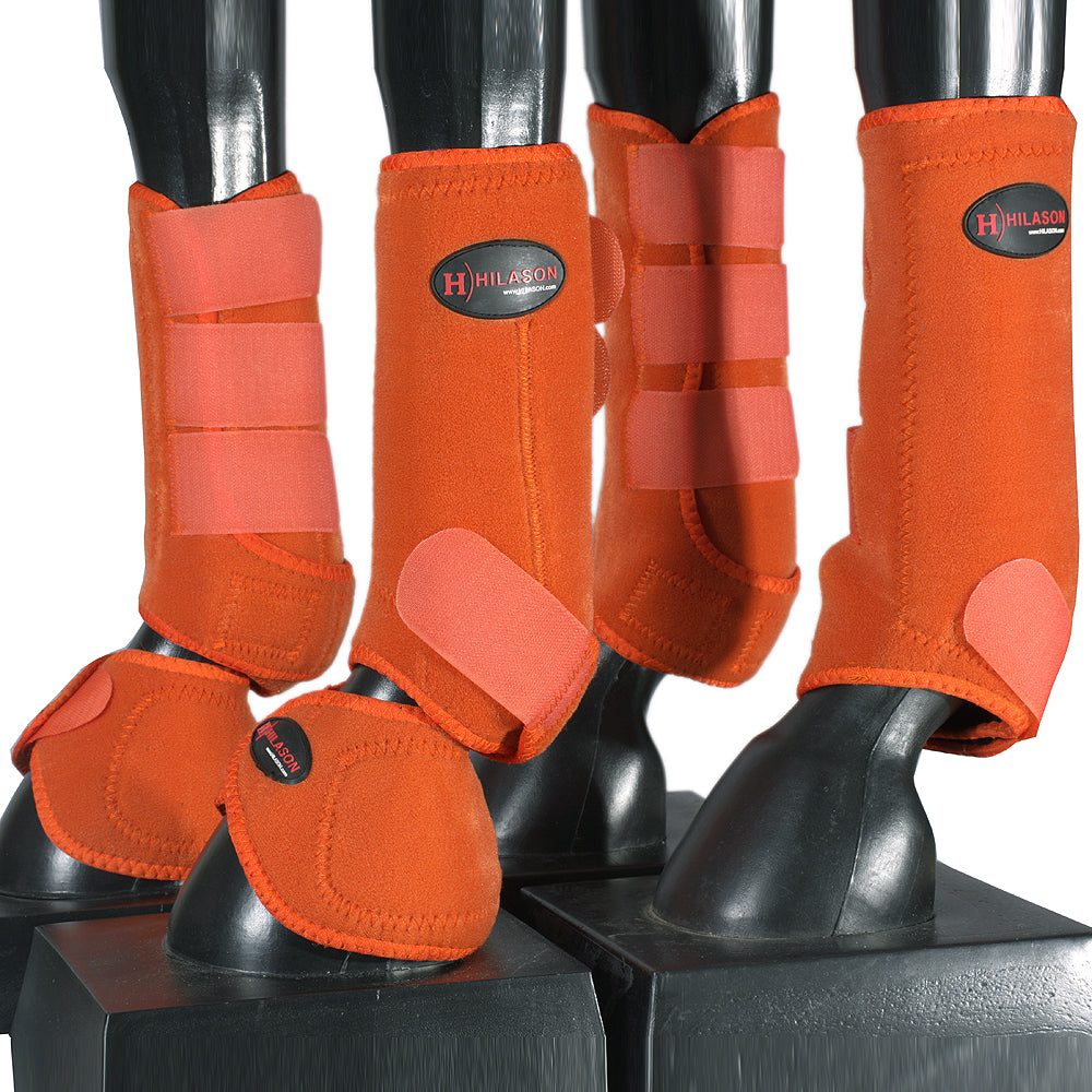 HILASON L M S Horse Front Rear Hind Leg Sport Boots &amp; Bell Boots 6 Pack