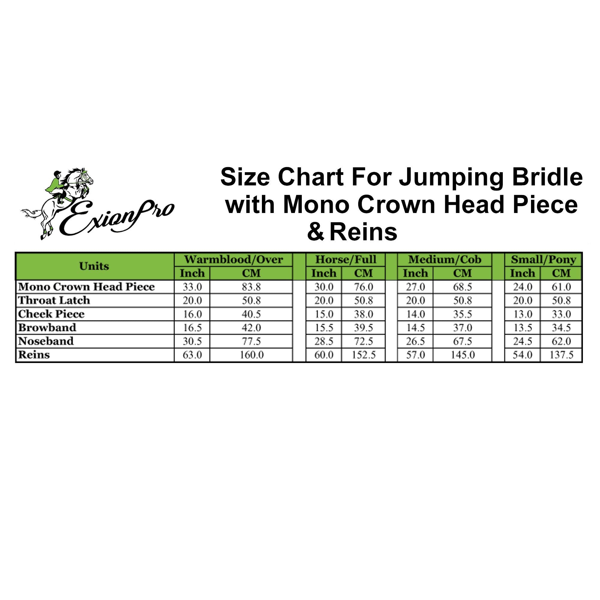 ExionPro Detachable Flash New Thin Raised Bridle &amp; Reins