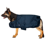 Hilason 200 gsm 600D Winter Turnout Waterproof Dog Blanket