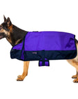 Hilason 200 gsm 1200D Winter Turnout Waterproof Dog Blanket