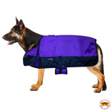 Hilason 200 gsm 600D Winter Turnout Waterproof Dog Blanket