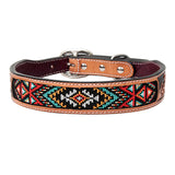 Stylish Floral Hand-Painted Leather Dog Collar | Hilason Western Design