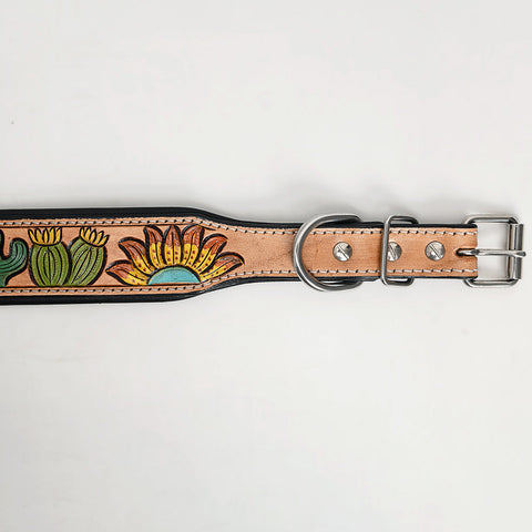 Hand-Painted Leather Dog Collar | Hilason Western Floral Design