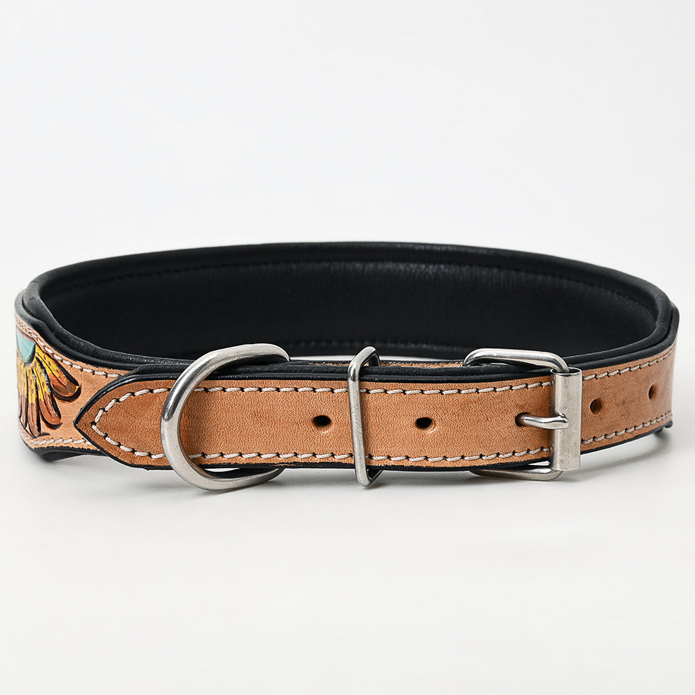 Hand-Painted Leather Dog Collar | Hilason Western Floral Design