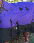 Hilason 600D Winter Waterproof Miniature Horse Turnout Blanket Purple