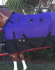 Hilason 600D Winter Waterproof Miniature Horse Turnout Blanket Purple