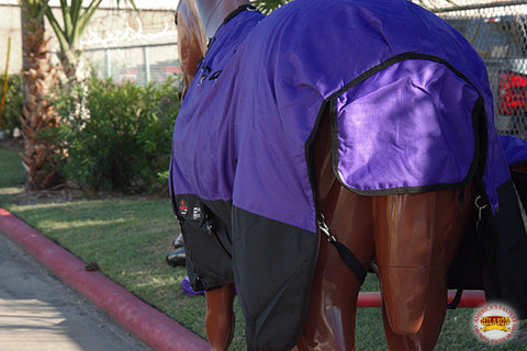 Hilason 600D Winter Waterproof Pony Horse Turnout Blanket Purple