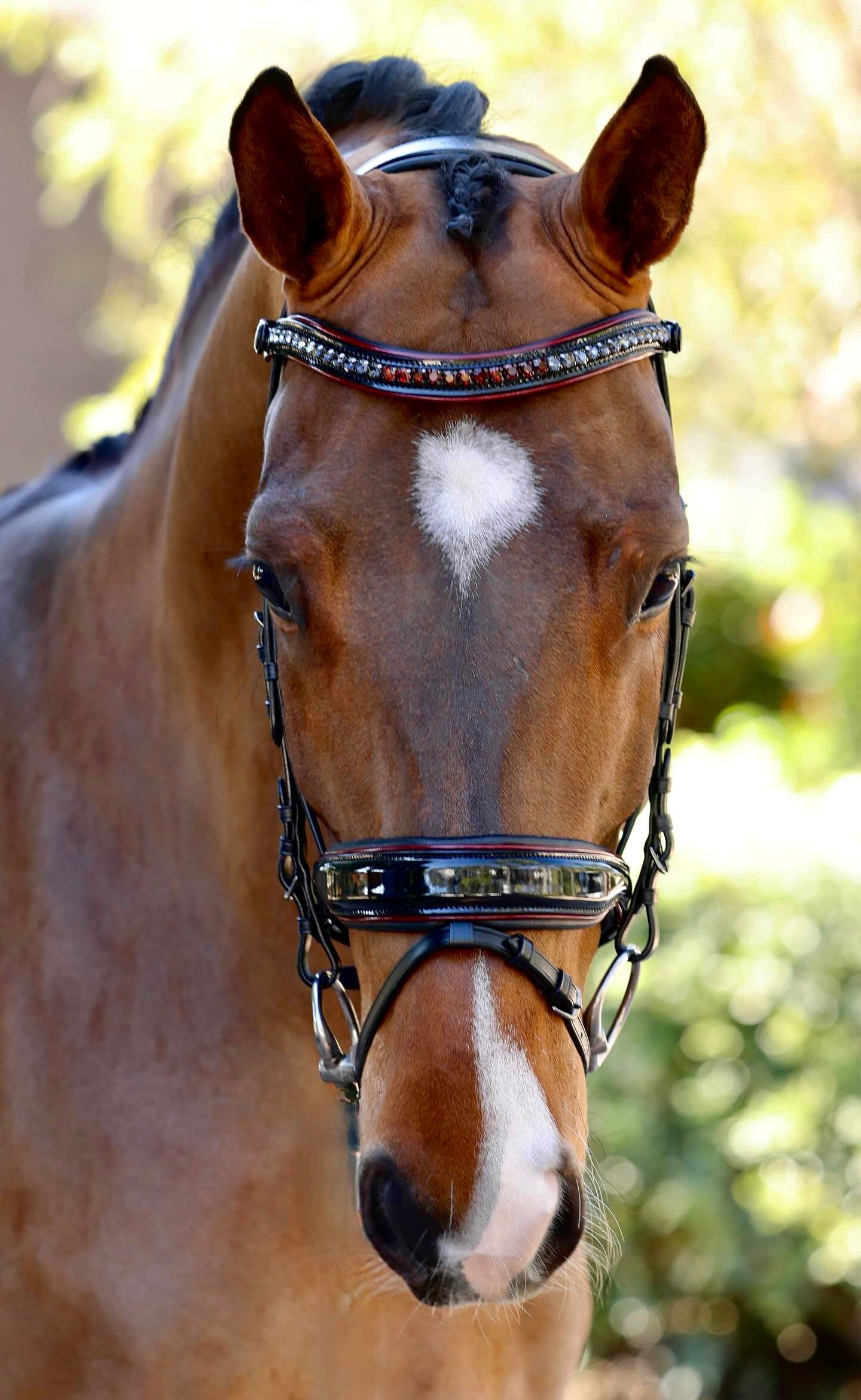 The Hayworth - Black Patent Snaffle with Burgundy Patent Piping &amp; Removable Flash