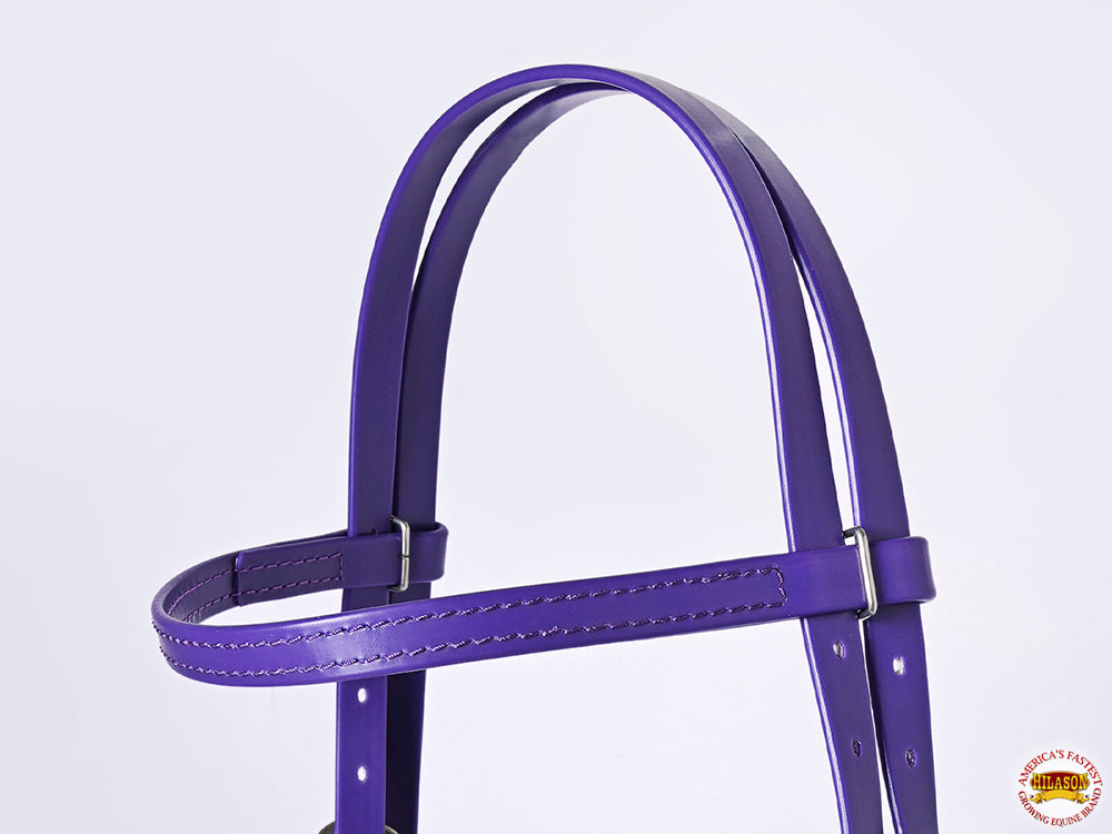 HILASON Western Horse Biothane Leather Headstall Tack
