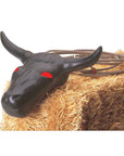 Practice Steer Head
