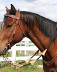 Black Roping Rein with Horsehair