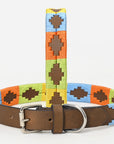 BAR H EQUINE Western Genuine Leather Dog Collar Embroidered