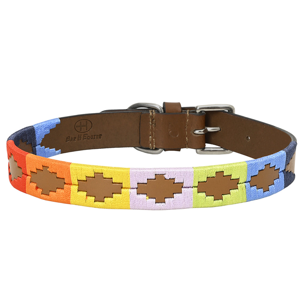 BAR H EQUINE Western Genuine Leather Dog Collar Embroidered
