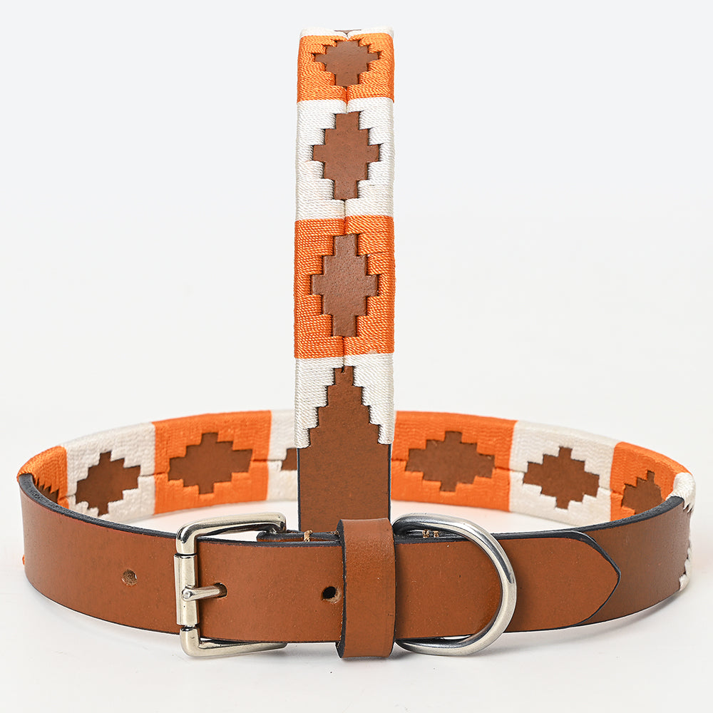 BAR H EQUINE Western Genuine Leather Dog Collar Embroidered  Orange &amp; White