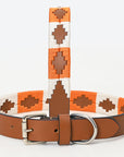 BAR H EQUINE Western Genuine Leather Dog Collar Embroidered  Orange & White