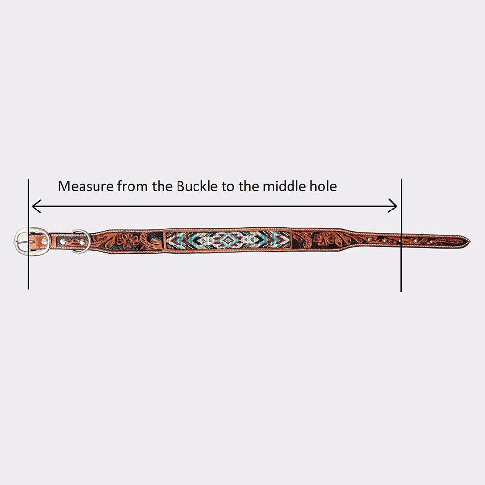 BAR H EQUINE Western Genuine Leather Dog Collar Embroidered  Orange &amp; White