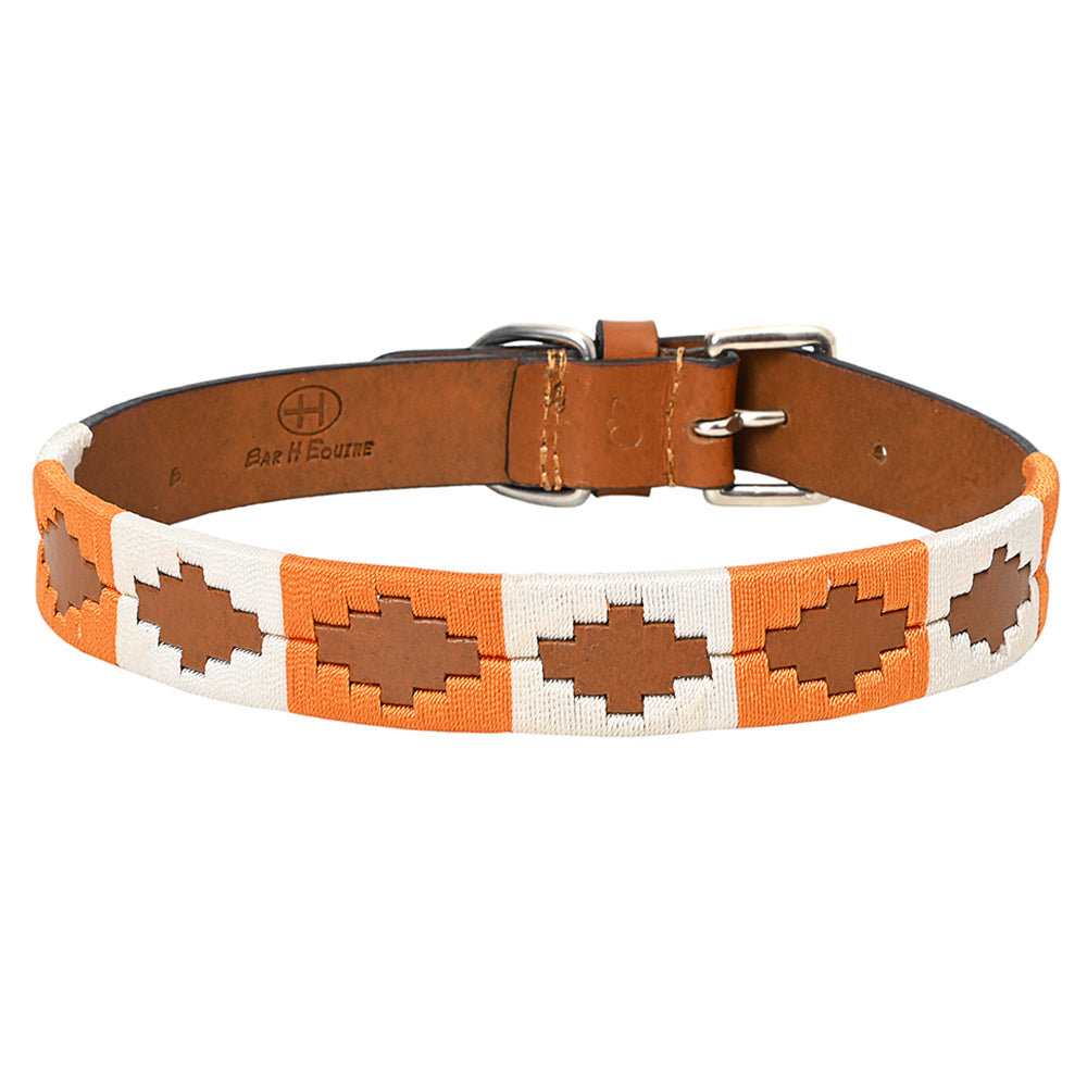 BAR H EQUINE Western Genuine Leather Dog Collar Embroidered  Orange &amp; White