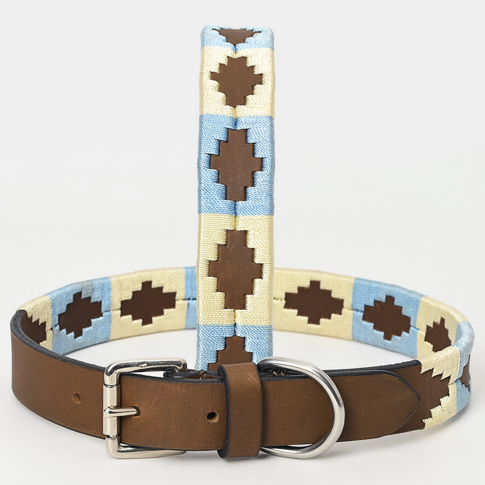 BAR H EQUINE Western Genuine Leather Dog Collar Embroidered  Beige &amp; Light Blue