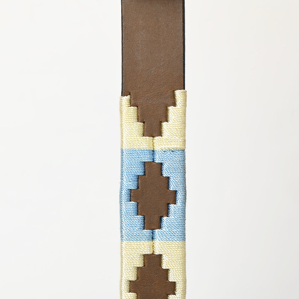 BAR H EQUINE Western Genuine Leather Dog Collar Embroidered  Beige &amp; Light Blue