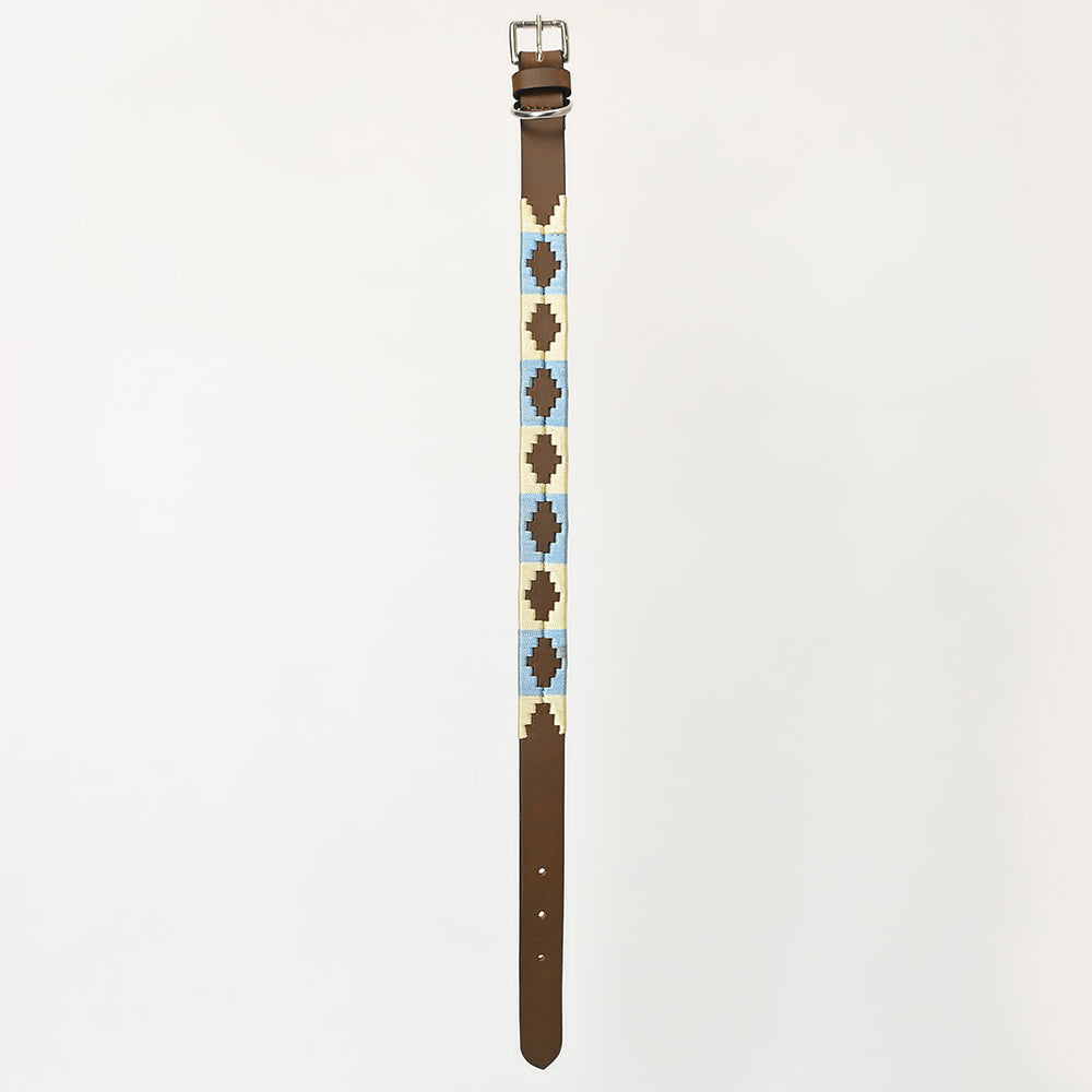 BAR H EQUINE Western Genuine Leather Dog Collar Embroidered  Beige &amp; Light Blue