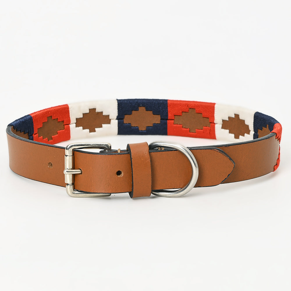 BAR H EQUINE Western Genuine Leather Dog Collar Embroidered  Blue Red &amp; White